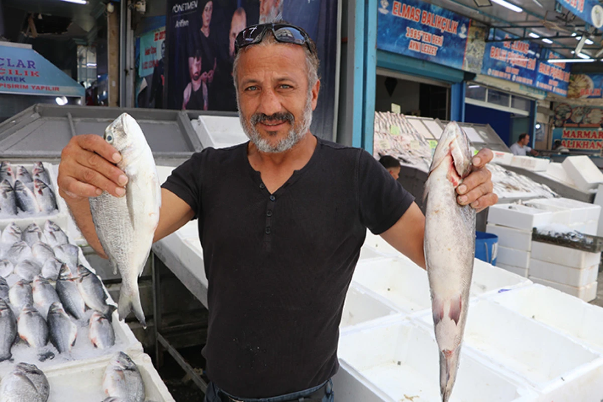 Adana'da sıcak havalar balık satışlarını d&uuml;ş&uuml;rd&uuml;    