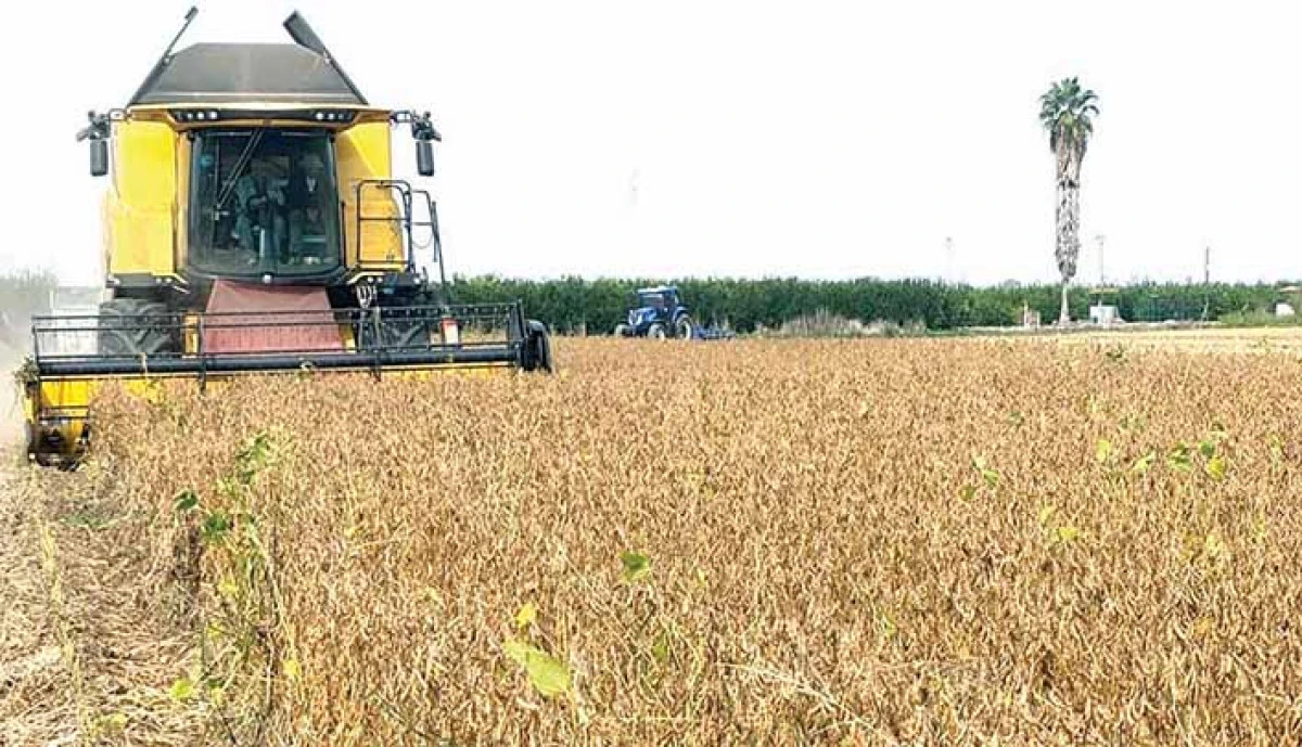 Adana'da soya hasadında bi&ccedil;erd&ouml;ver &uuml;cretleri belirlendi