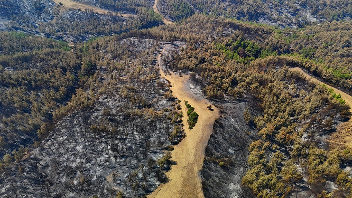 Adana'daki orman yangını kontrol altına alındı     
