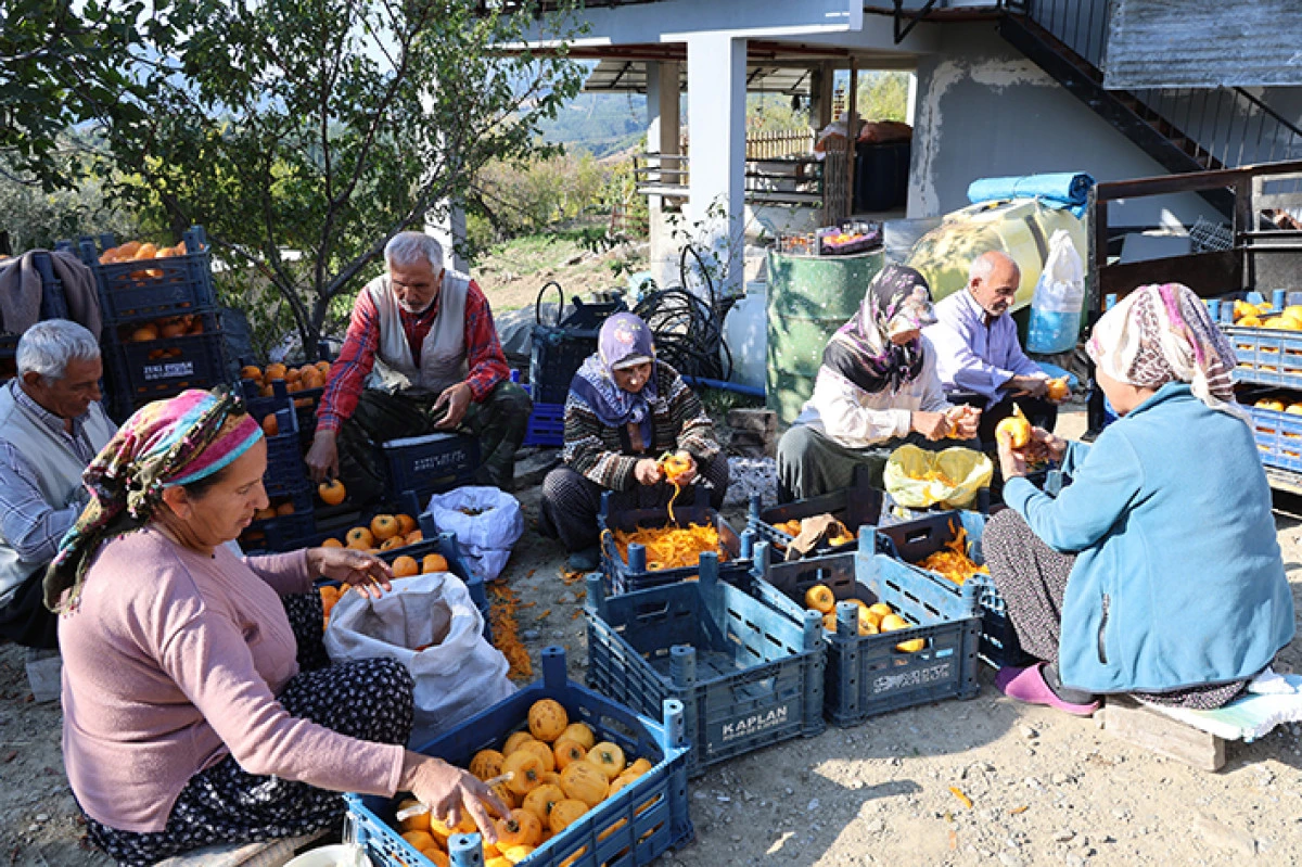 Adana'nın hurmalı köyü, açık fabrikaya dönüştü