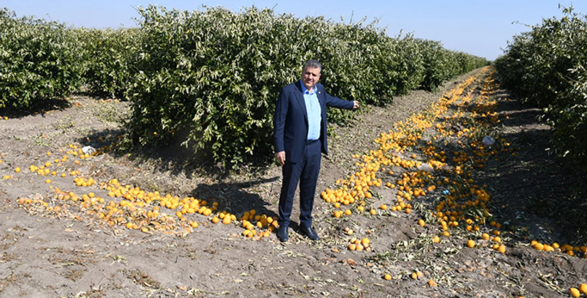 Barut:  Limonda ithalat kararı geri alınsın