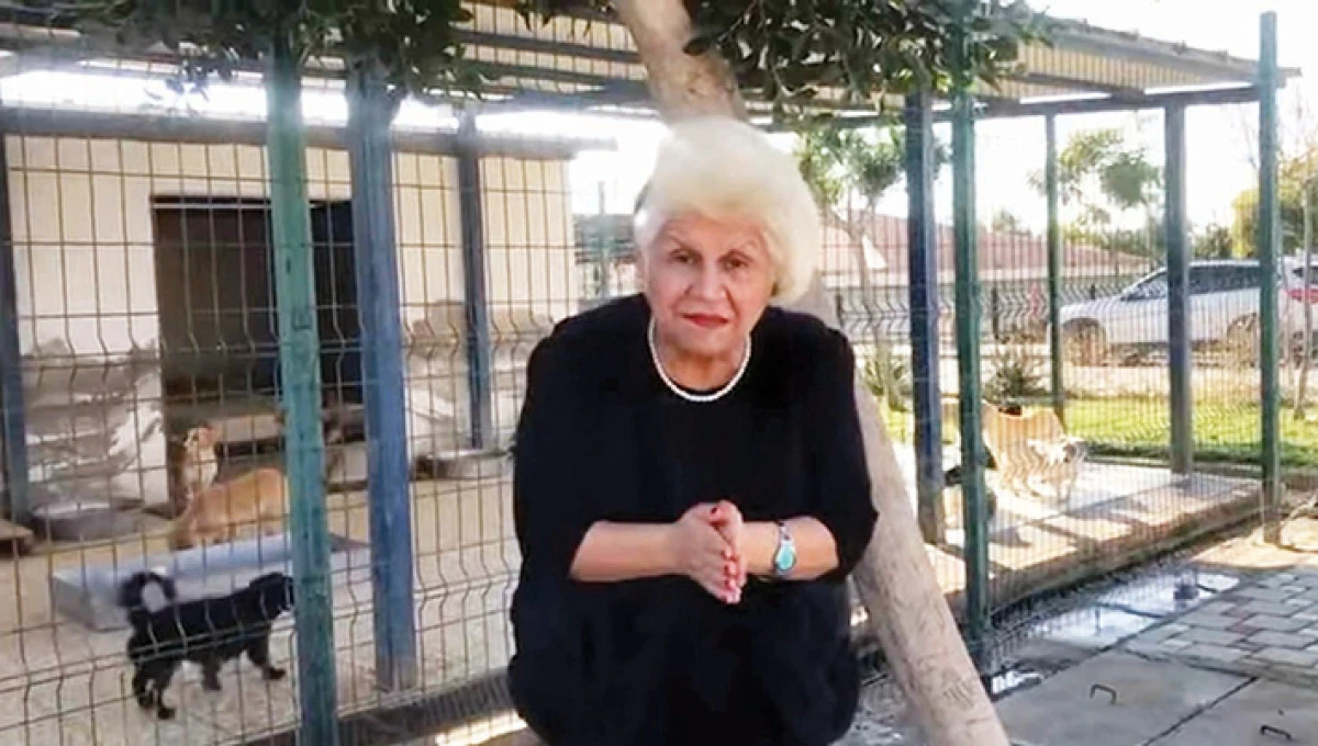 &Ccedil;ıtırık: &Ccedil;aresiz hayvanlar   kanayan yaramız