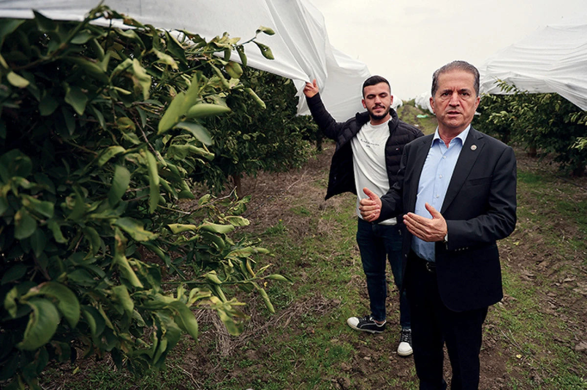 &Ccedil;ukurova &ccedil;ift&ccedil;isinden  zirai don &ouml;nlemi