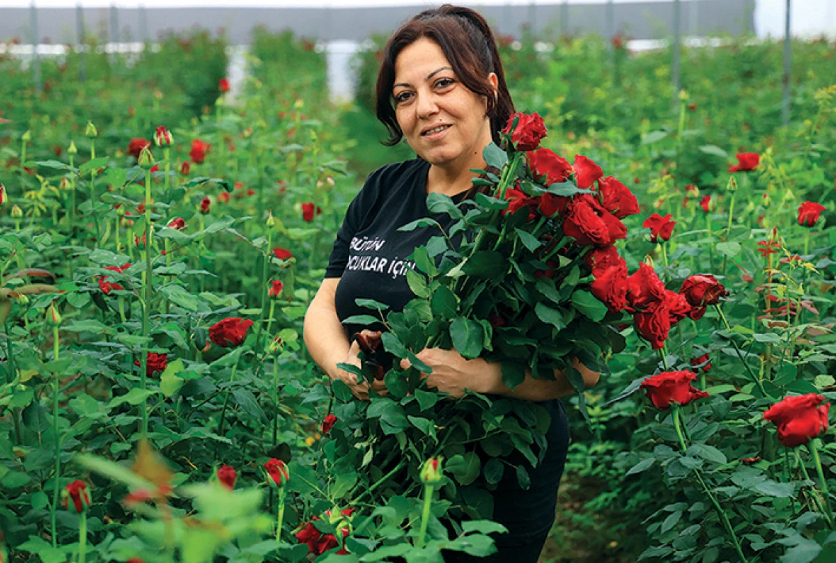  G&uuml;l serada 5,  &ccedil;i&ccedil;ek&ccedil;ide 50-100 lira