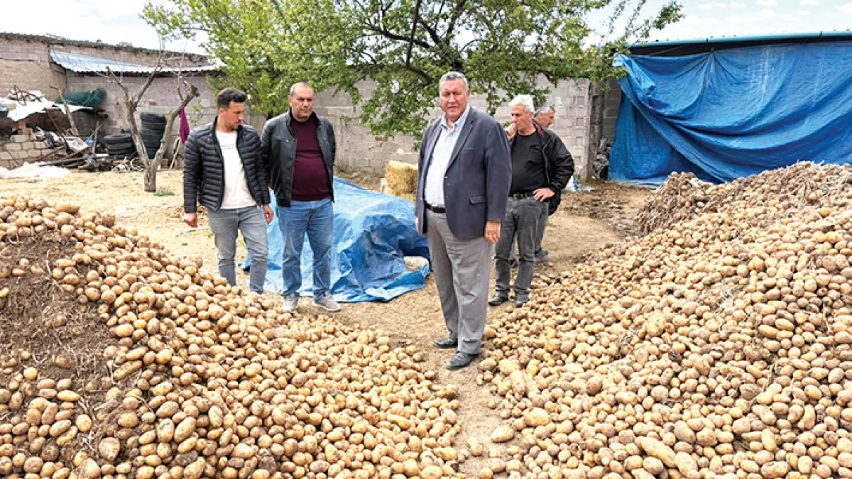 G&uuml;rer:  İktidar tarımda patates-soğan pazarını dahi y&ouml;netemedi