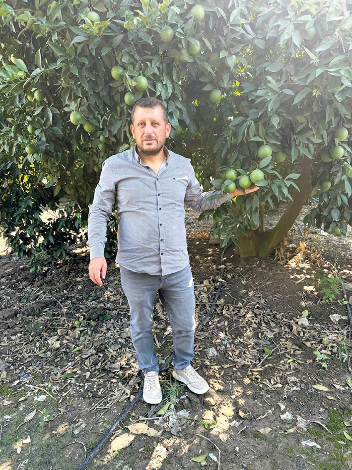 Narenciye &uuml;reticisi  destek bekliyor