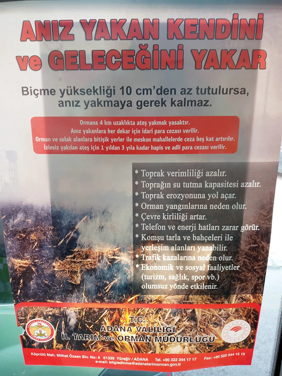 “Ormanı yakmak vatana kurşun sıkmaktır”