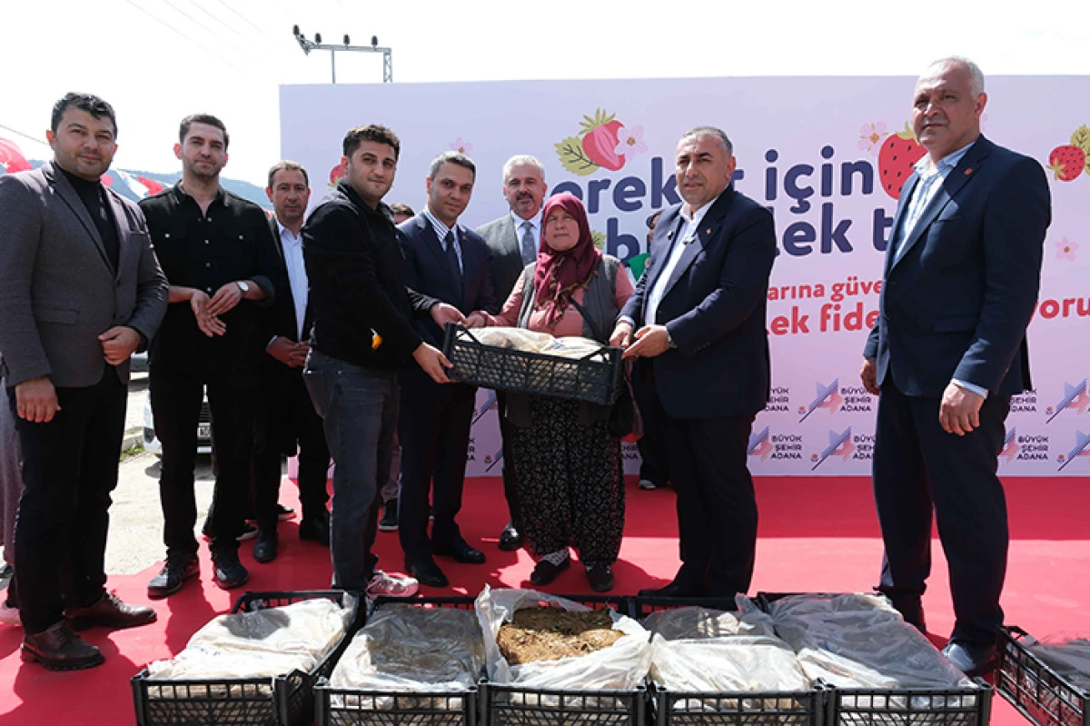  Pozantılı &uuml;reticiye 900 bin  &ccedil;ilek fidesi daha dağıtıldı