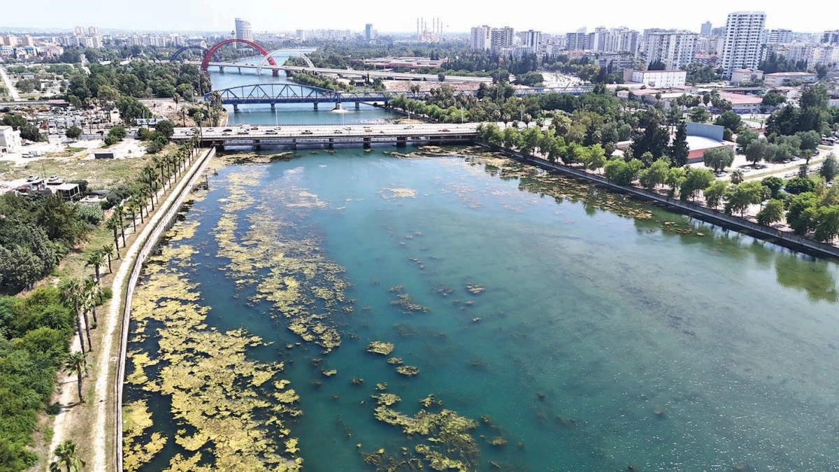 Seyhan Nehri kirliliğe teslim oldu