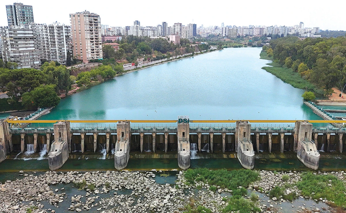 Seyhan Nehri yosun akınına uğradı