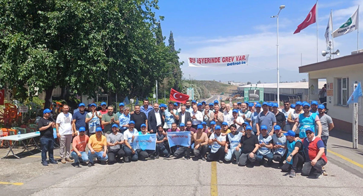 TOROS TARIM’DA bacalar tekrar tütüyor