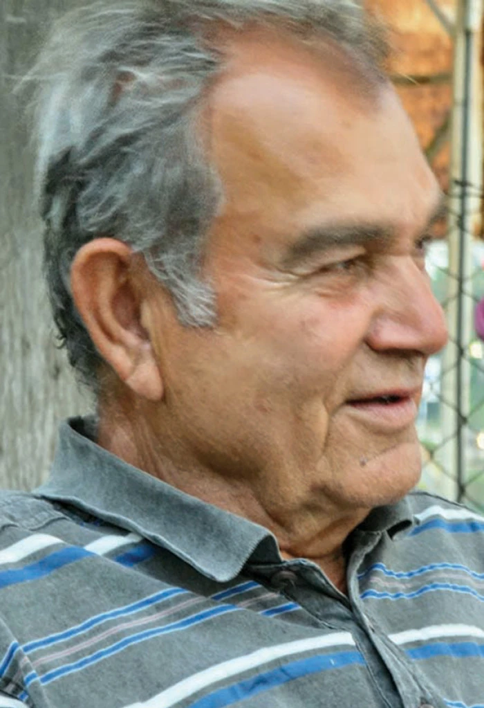MEHMET IŞIK