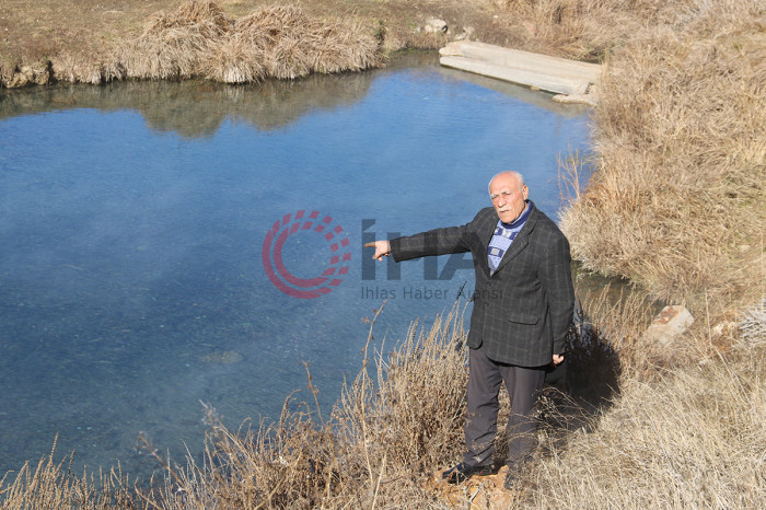 Balıklar yok olma tehdidi altında