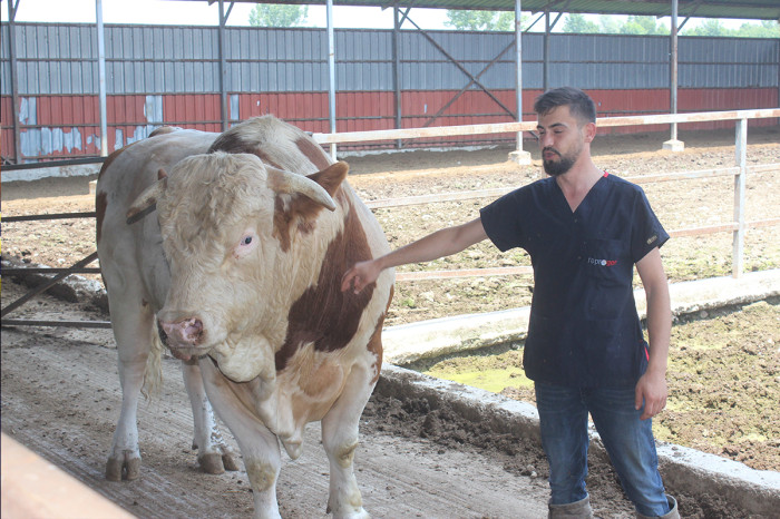 Onu gören şaşırıyor İkinci el otomobil fiyatına alıcısını bekliyor