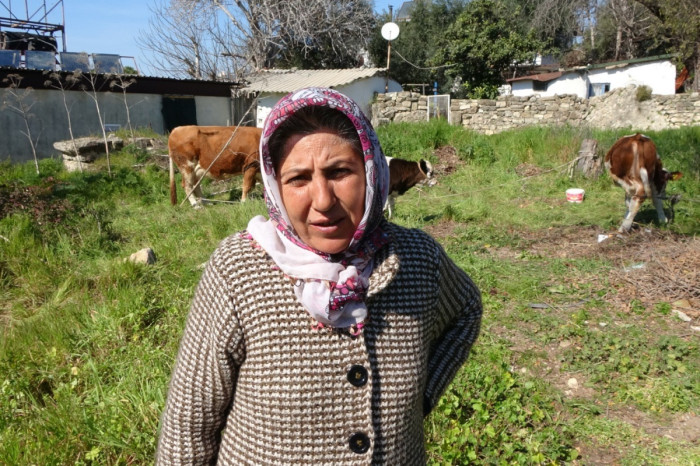 Depremzede kadın ‘hayat arkadaşım' dediği ineklerini geride bırakmadı